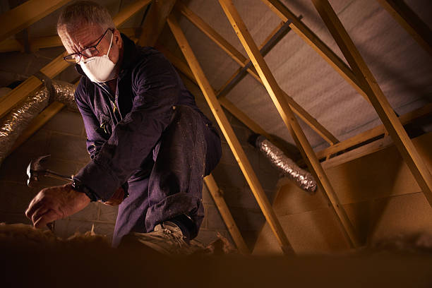 Best Fiberglass Insulation in Linthicum, MD