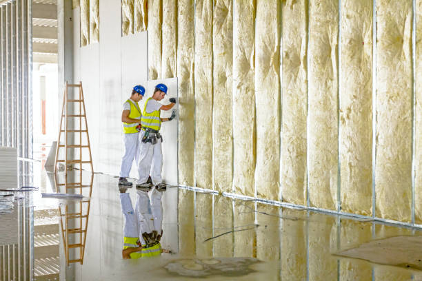 Best Commercial Insulation in Linthicum, MD